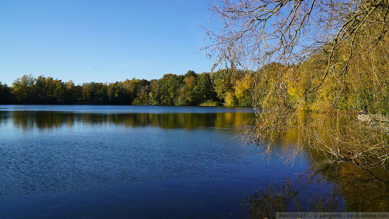 Baumgarte GmbH aus Langenhagen: Markisen für Garbsen